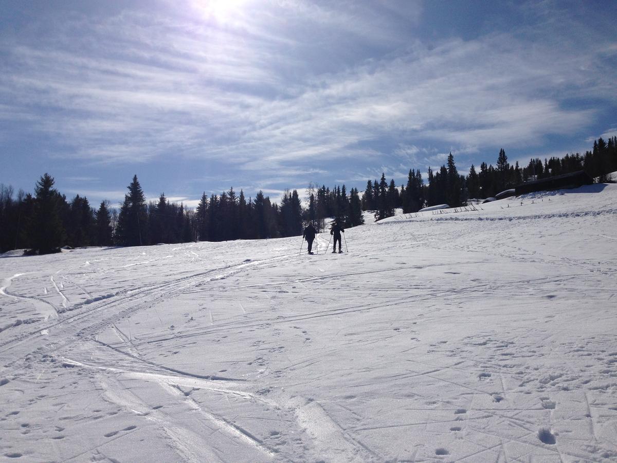 Rondane Fjellstue Hostel Mysusaeter